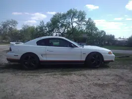 stang right.webp