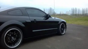 mustang 4.webp