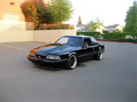 stance.webp