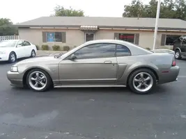mustang1.webp