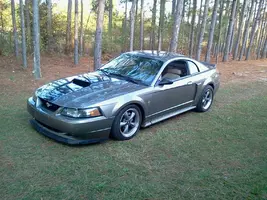 Mustang10.webp