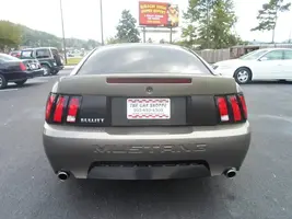 mustang3.webp