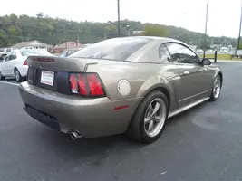 mustang4.webp