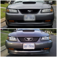 mustang new look.webp