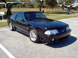 stang22-1_edited.webp