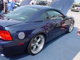 ffw28.webp