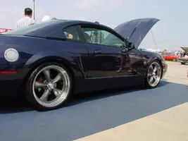ffw27.webp