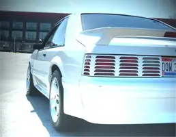 stang1.webp
