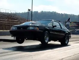 wheelie-1.webp