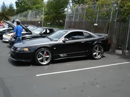 20front22backstang.webp