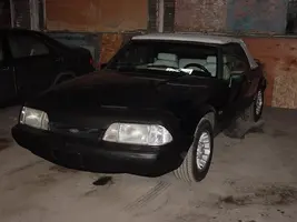 Mustang%20002.webp