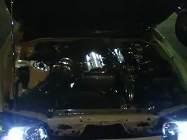 1020070250.webp