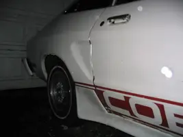 100_0031.webp