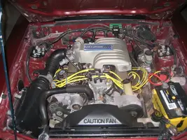 Mustang009.webp