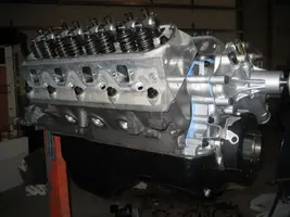 Mustang005.webp