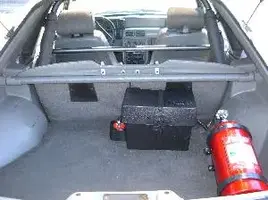 n_1trunk.webp