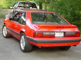 mustangs114.webp