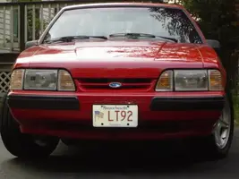 mustangs119.webp
