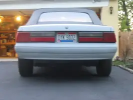 88mustang50022.webp