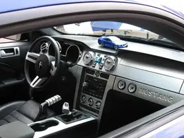 Picture005.webp