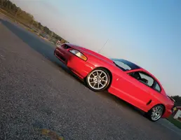 stang1.webp