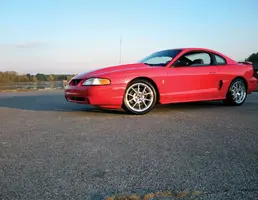 stang2.webp
