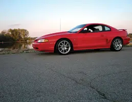 stang7.webp