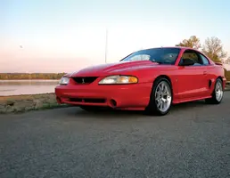 stang8.webp