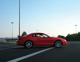 stang5.webp