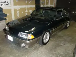 PA010280.webp