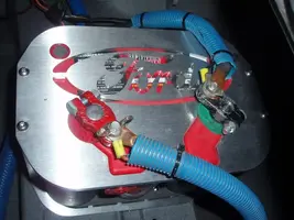 Trunk4.webp