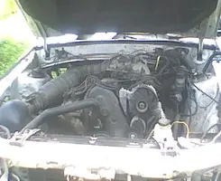 underhood.webp
