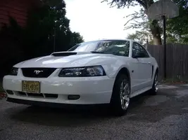11stang.webp
