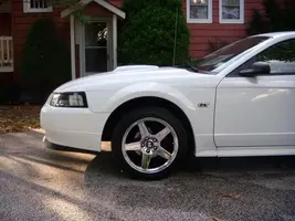 1stang.webp