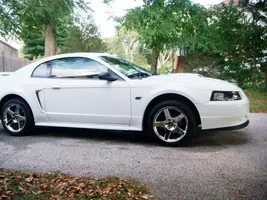 111stang.webp