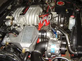 DSC01174.webp