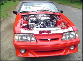 hoodless1.webp