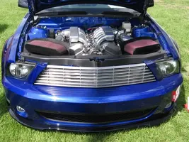 MustangShow_June-07018.webp