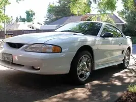 white50.webp
