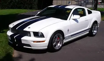 MustangFinishedBody011.webp