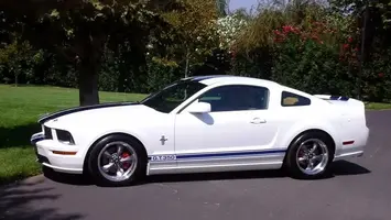 MustangFinishedBody016.webp