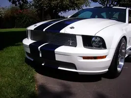 MustangFinishedBody023.webp
