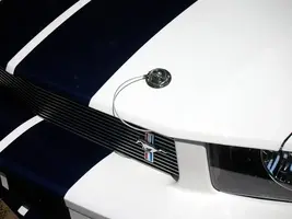 MustangFinishedBody021.webp