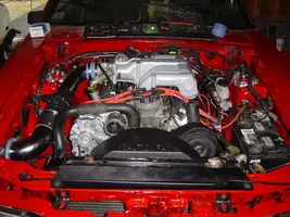 mustang020.webp