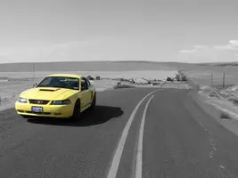 BW.webp