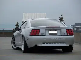 100_1033.webp