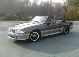 mustangwithcharcoalponies.webp