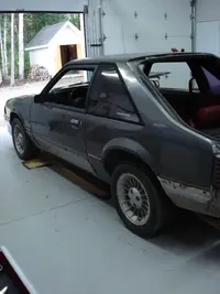 mymustang03.webp