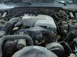 mymustang02.webp