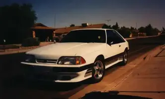 SaleenWannabe1.webp
